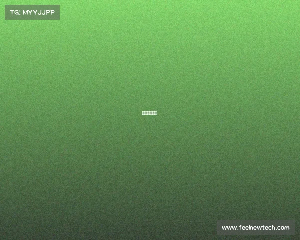 梅州电子公司 梅州电子公司