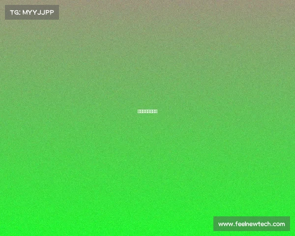 庄周职业选手出装